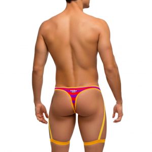 Tanga Ancha Lines Red and Purplee lingerie